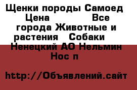 Щенки породы Самоед › Цена ­ 20 000 - Все города Животные и растения » Собаки   . Ненецкий АО,Нельмин Нос п.